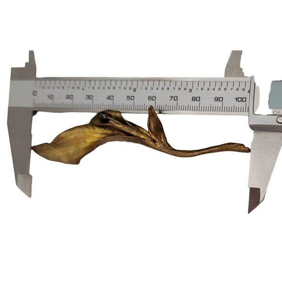 Michael Michaud Bronze Calla Lily Center Genuine Freshwater Pearl Brooch E755 - Picture 8 of 9